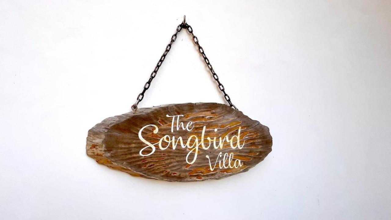 The Songbird Villa Pointe Au Sel 외부 사진
